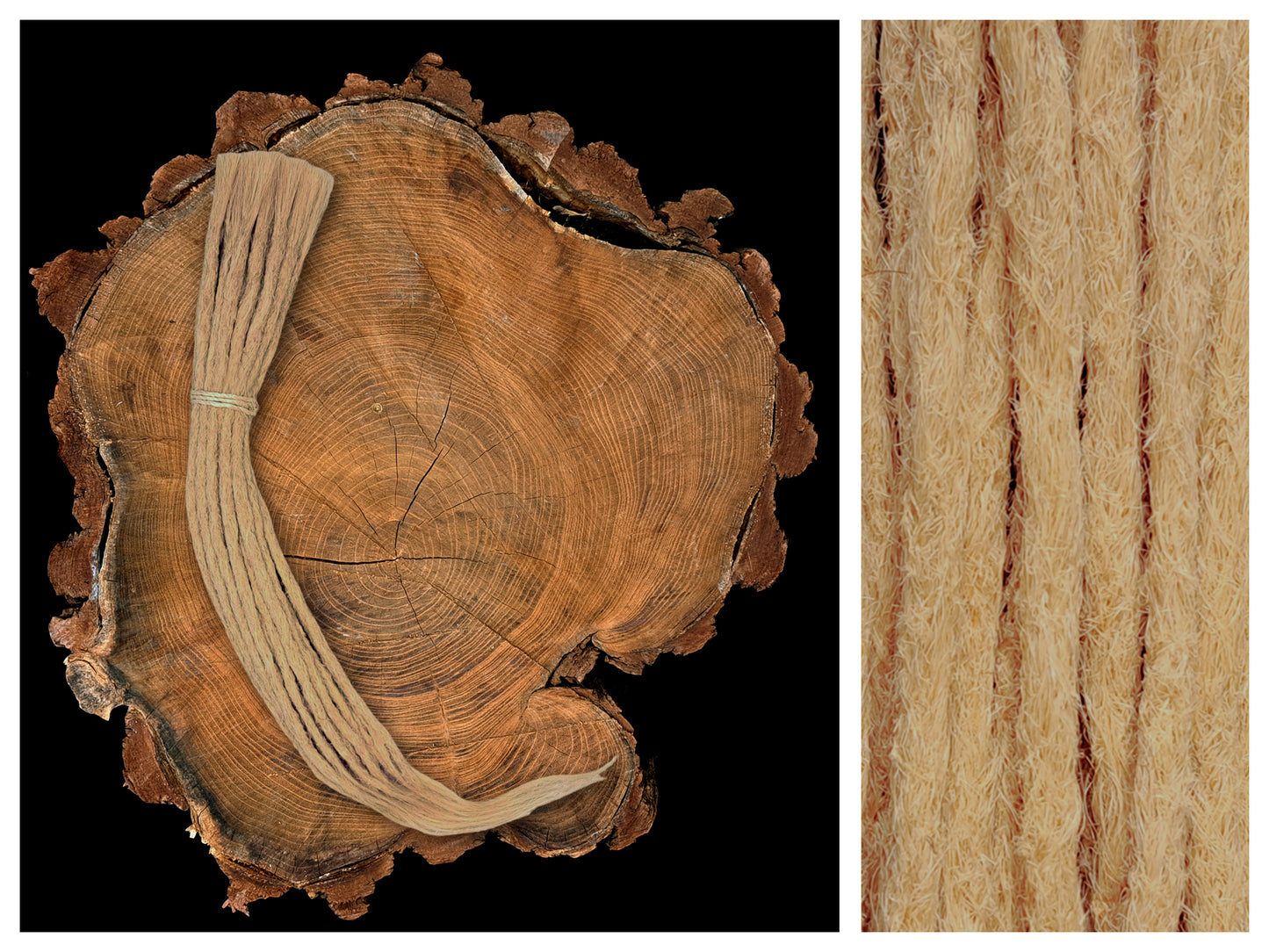 Dread Extensions Hellblond 45-50cm