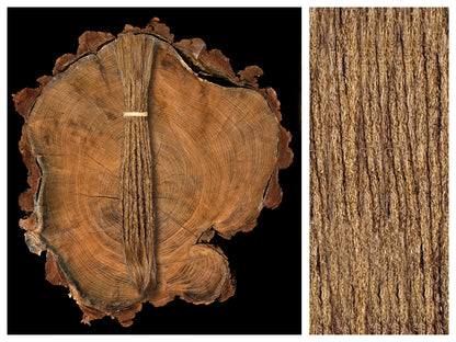 Dread Extensions Honigbraun 25-30cm