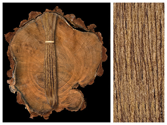 Dread Extensions Honigbraun 25-30cm